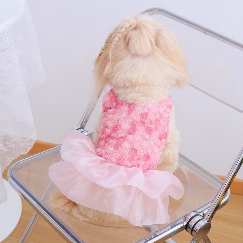 Rose Floral Cake Dress for Sma - Summer Rose Clothing ulasan dan harga
