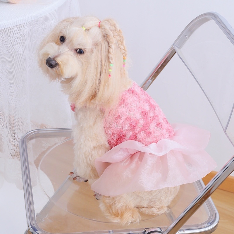 Rose Floral Cake Dress for Sma - Summer Rose Clothing ulasan dan harga
