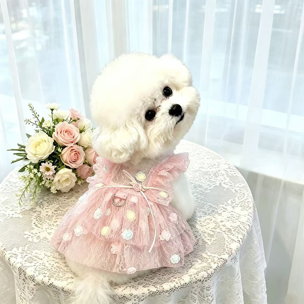 Pet Spring & Summer Chiffon Pr - Summer Rose Clothing ulasan dan harga
