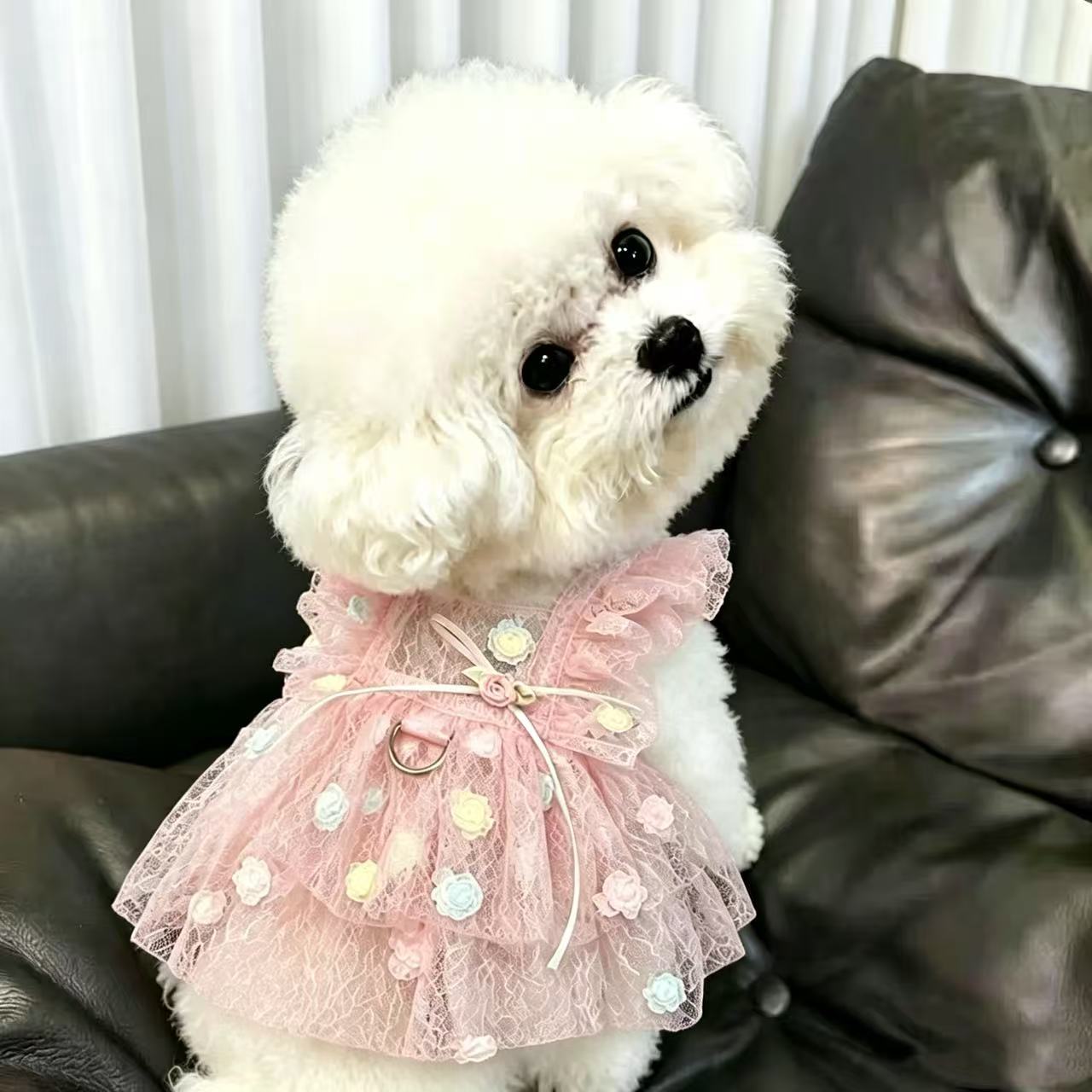 Pet Spring & Summer Chiffon Pr - Summer Rose Clothing ulasan dan harga