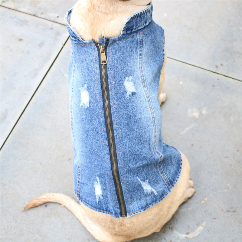 Summer Big Large Dog Clothing  - Summer Clothing In French ulasan dan harga