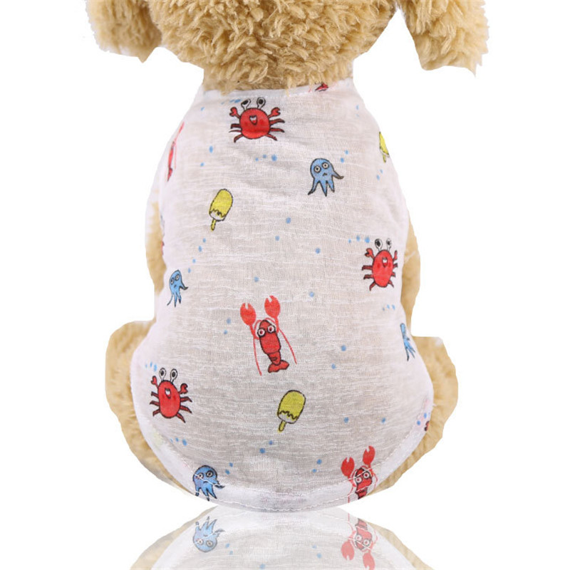 5 Colors Summer Lovely Cartoon - Summer Loving Clothing ulasan dan harga