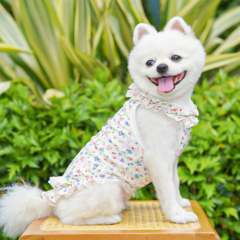 Fashion Floral Dog Dress Dog S - Summer Loving Clothing ulasan dan harga