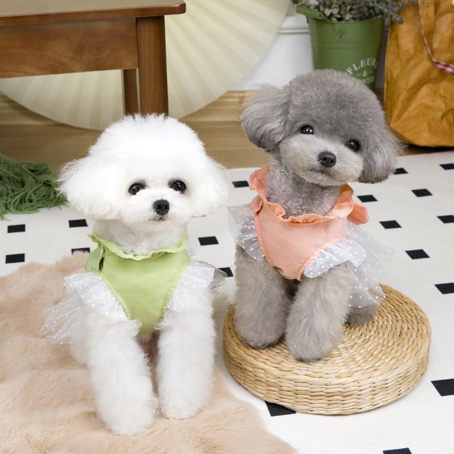 Cute Dog Summer Dress Cat Lace - Summer Loving Clothing ulasan dan harga
