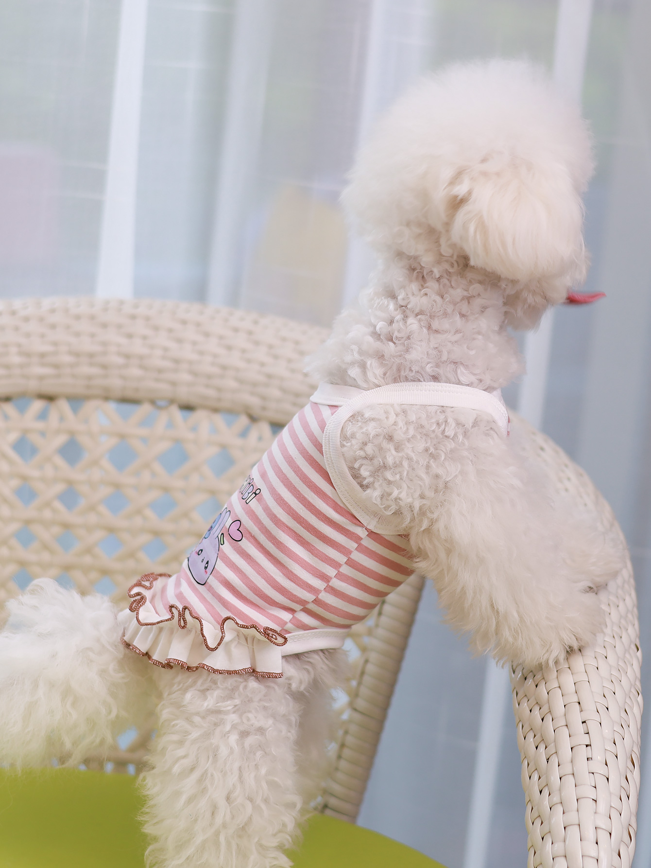 Dog vest, summer breathable th - Summer Clothing Material ulasan dan harga